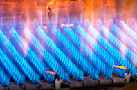 Lissanduff gas fired boilers